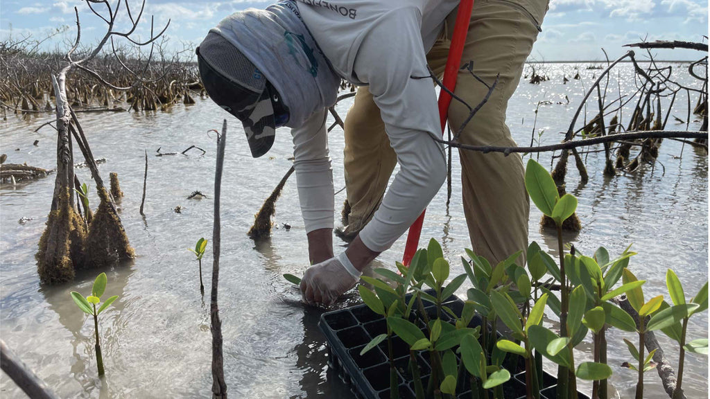MANG x Bonefish & Tarpon Trust: Bahamas Restoration Project